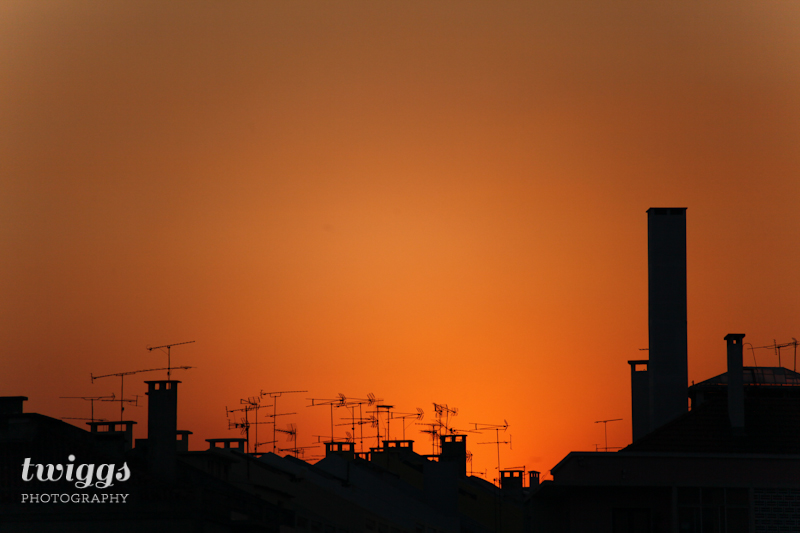 sunset light yesterday evening // Twiggs Photography