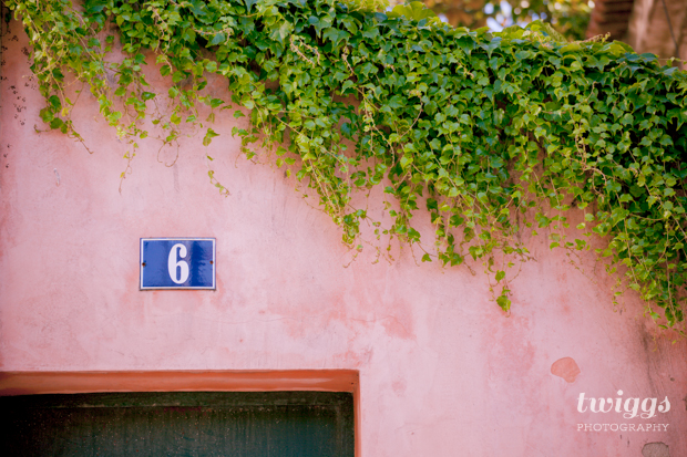 Ivy Walls, Lisbon Photography, Nature Photography, Travel Photography // Twiggs Photography