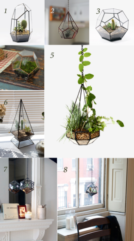 Terrariums, Interior Styling, Indoor Plants // Monday's Favourites