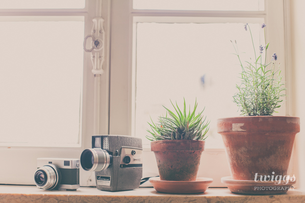 Film Cameras and indoor plants by the window by Twiggs Photography