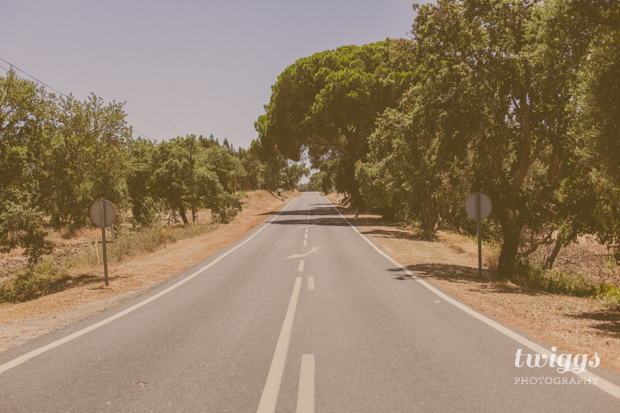 Summer Landscape in South of Portugal by Twiggs Photography (9)