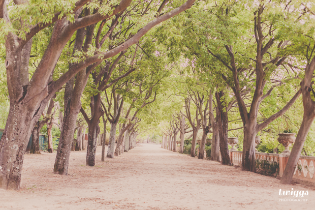 Trees in Garden in Lisbon by Twiggs Photography
