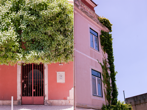 Rua das Janelas Verdes in Lisbon, Tree over door and Ivy over the walls of a house by Twiggs Photography