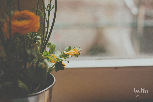 Ranunculus by the window by Hello Twiggs