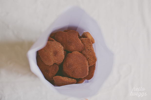 Biscoitos e Leite // Cookies and Milk