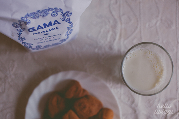 Biscoitos e Leite // Cookies and Milk