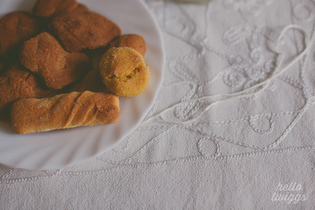 Biscoitos e Leite // Cookies and Milk