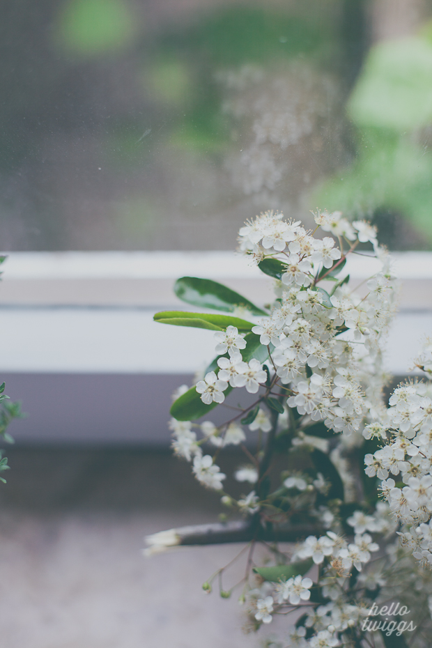 White Flowers by the window at home