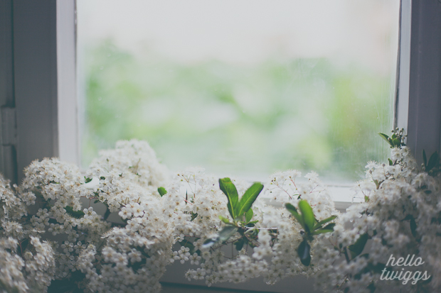 White Flowers by the window at home