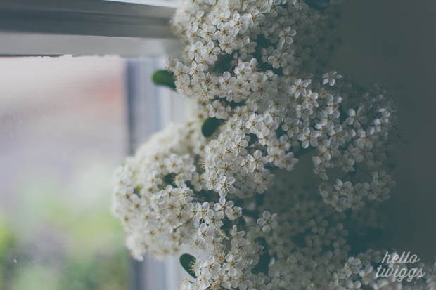 White Flowers by the window at home