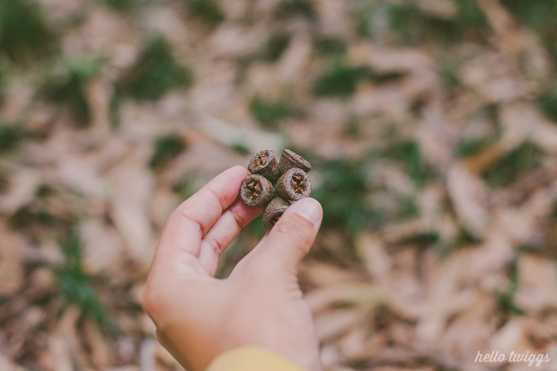 Fotografias de Natureza por/Nature Photography by Claudia Casal // Hello Twiggs