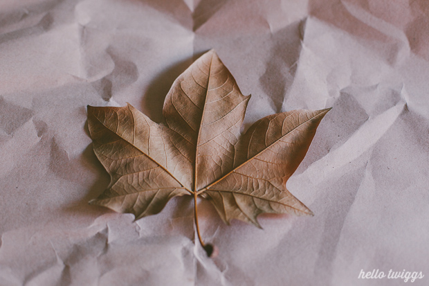 Golden Leaves DIY Project