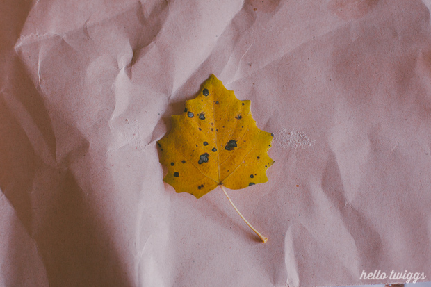 Golden Leaves DIY Project