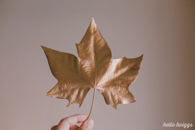 Golden Leaves DIY Project