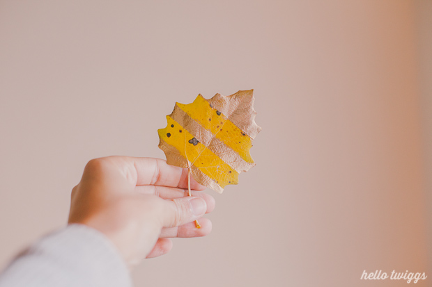 Golden Leaves DIY Project