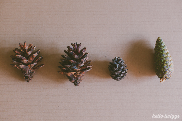 Pinecones ready to be sprayed with golden paint