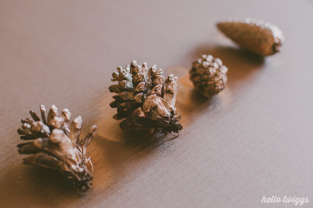 Small Pinecones sprayed wit golden paint