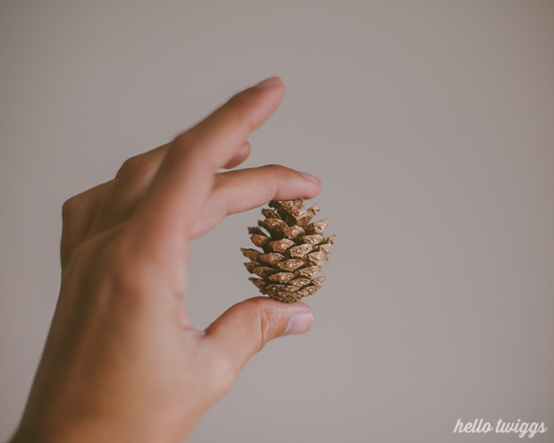 Small Pinecone sprayed wit golden paint